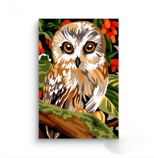 Night Owl